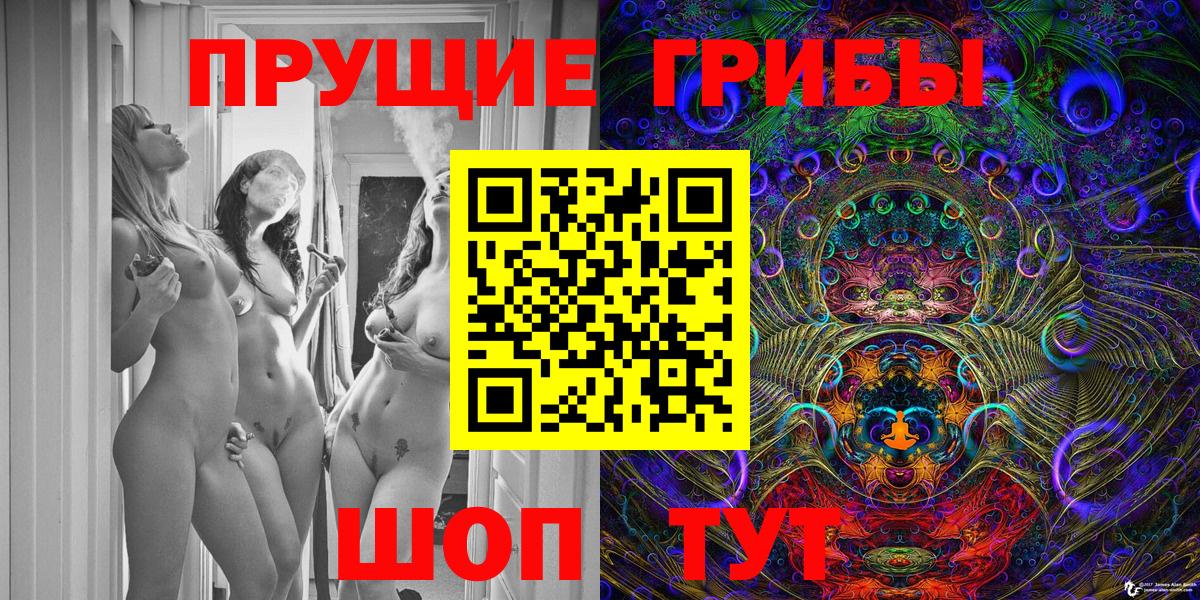 Великий Новгород  Псилоцибиновые грибы прущие грибы  Вход с VPN 